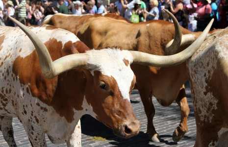 Cellular-on-wheels-465x300