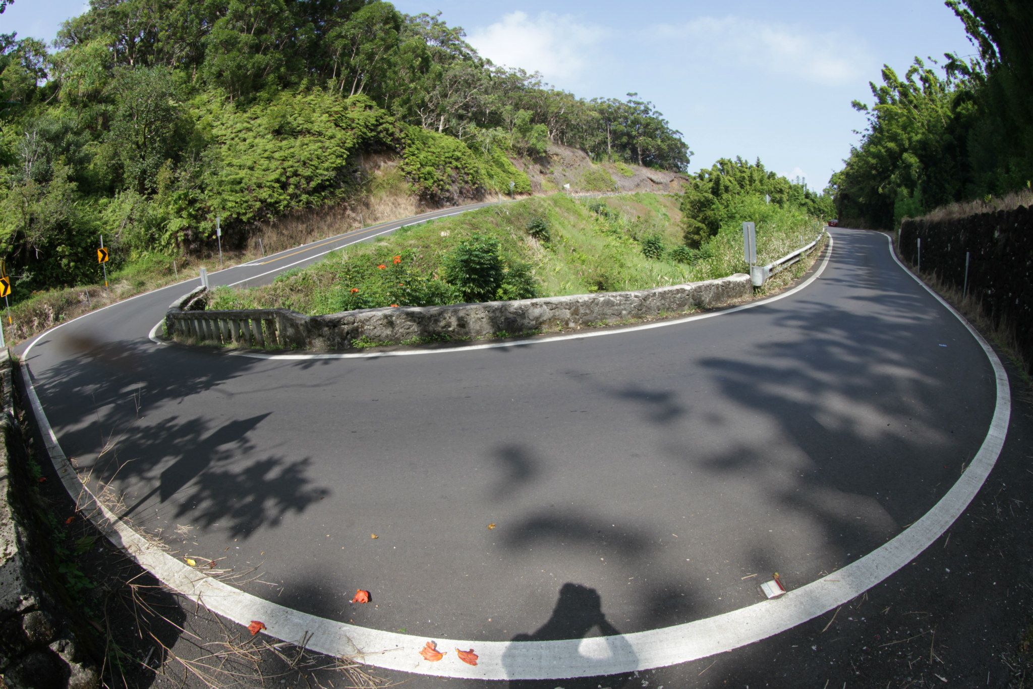 Implementing change is like driving on the long road to Hana